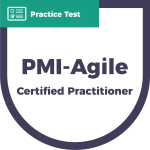 PMI Practice Test – CyberVista